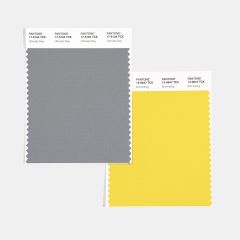 swcd-tcx-color-of-the-year-2021-ultimate-gray-illuminating.jpg