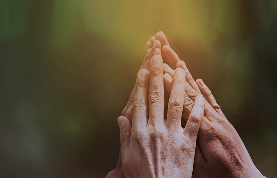 尊龙凯时人生就是搏·(中国区)官方网站